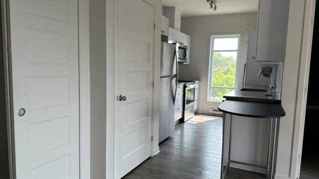 577840758_1526091078433195_7237996278564357176_n